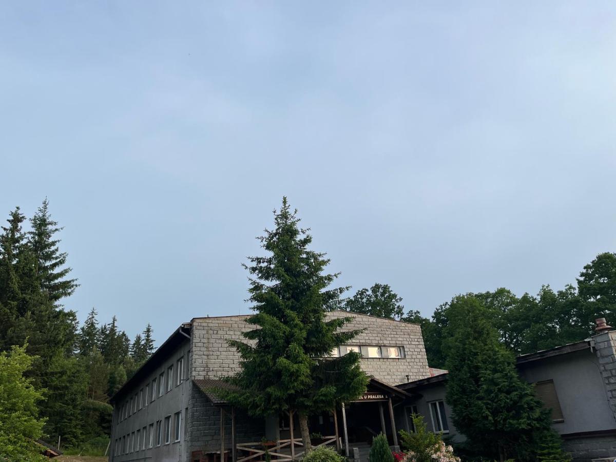 Apartmán NOVOHRADKY 22 Benesov nad Cernou Exterior foto